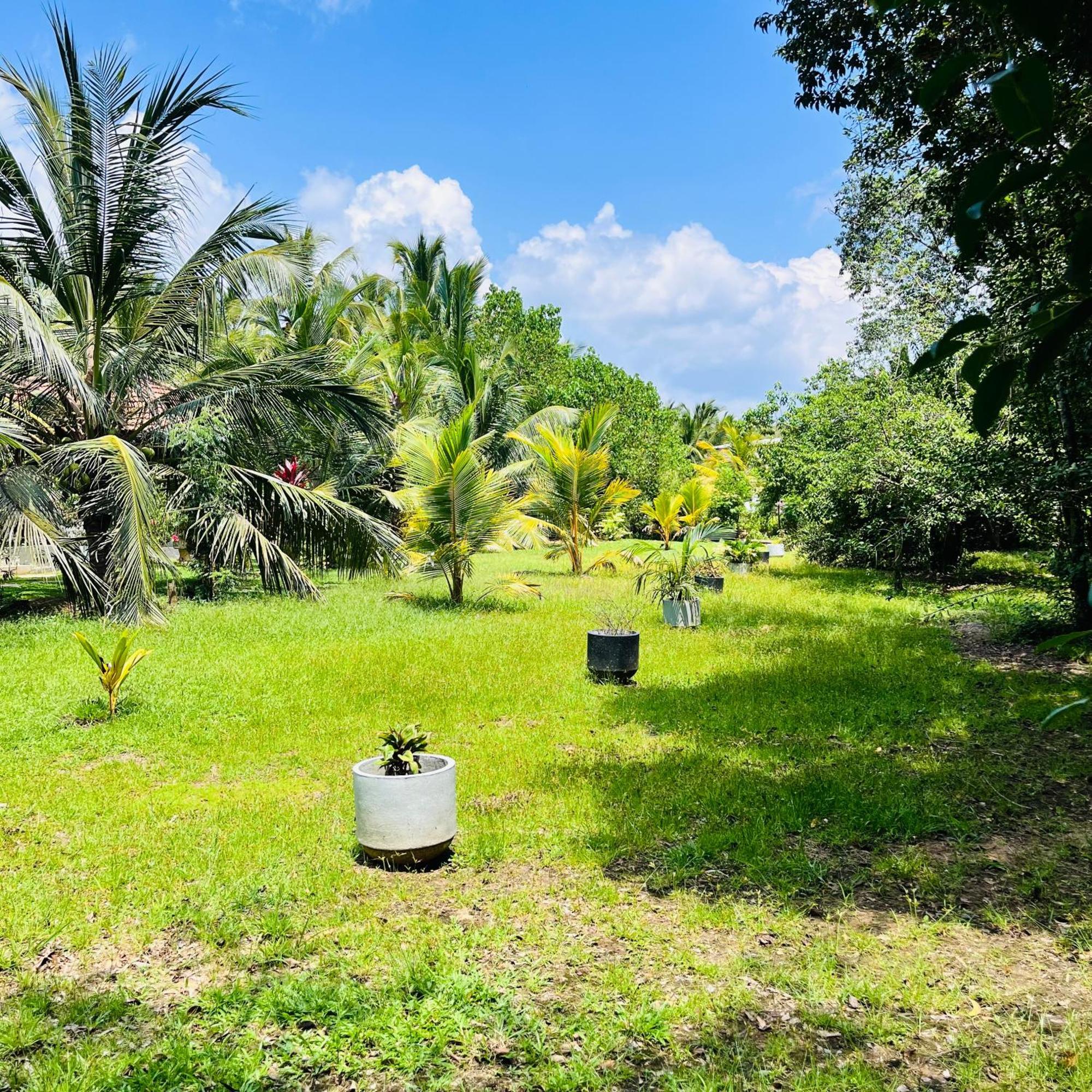 Hanguk Lanka Lagoon Villa Tangalle Exterior photo